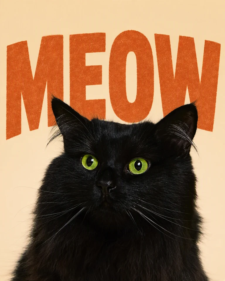 The same cat in front of giant rust-orange letters reading MEOW