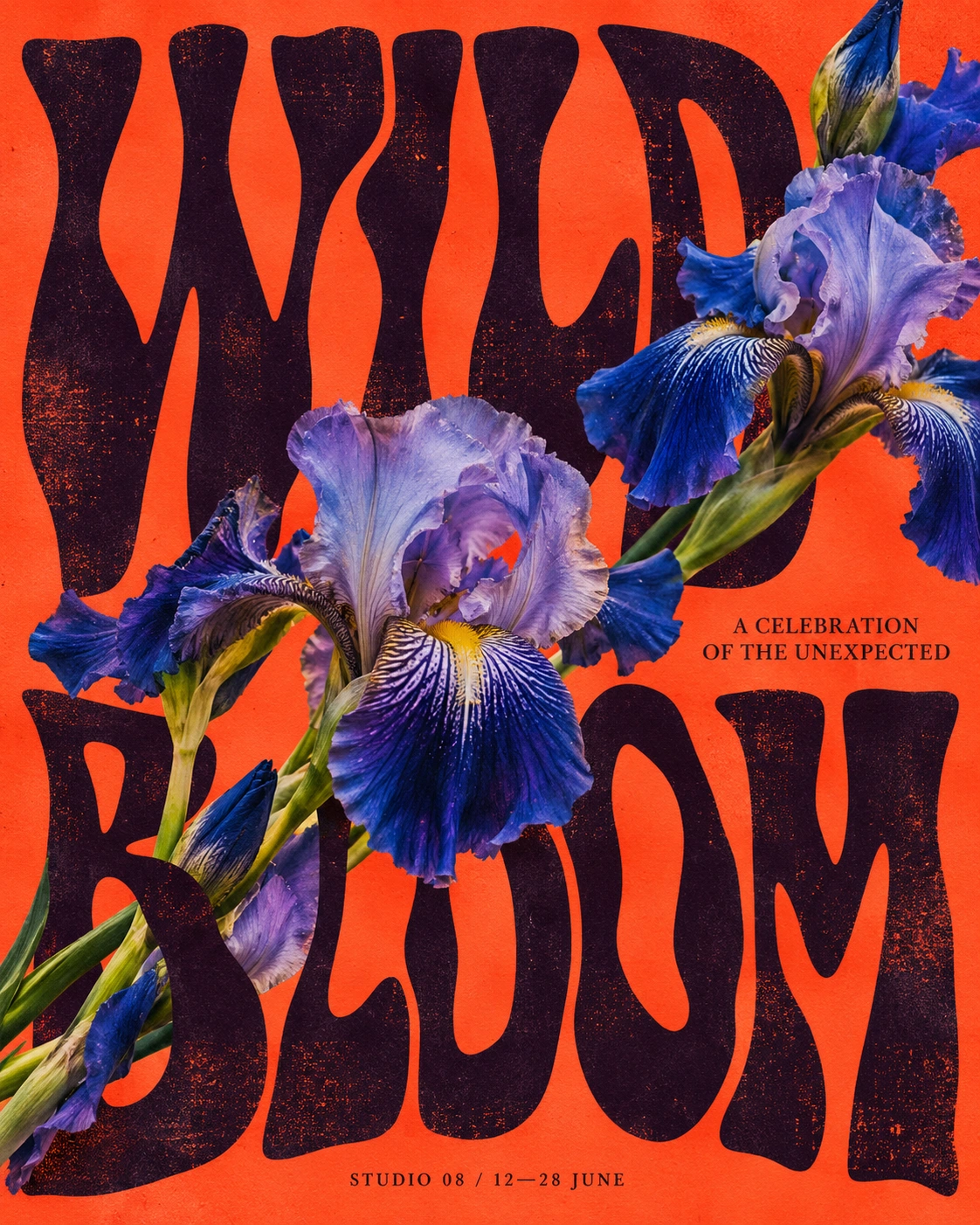 Wild Bloom poster with distressed lettering behind blue iris flowers